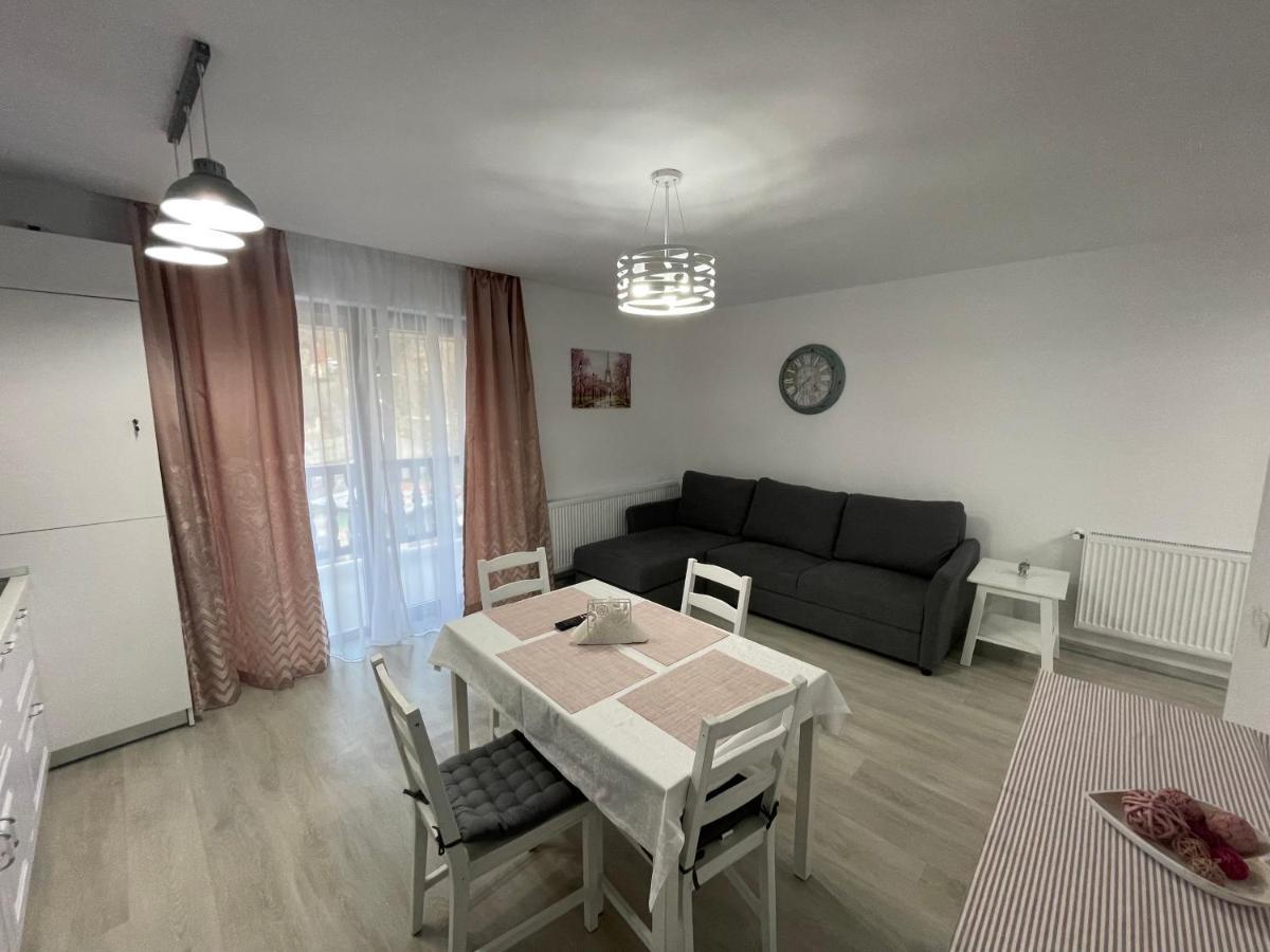 Castle Residence Apt. Eminescu Buşteni Екстериор снимка