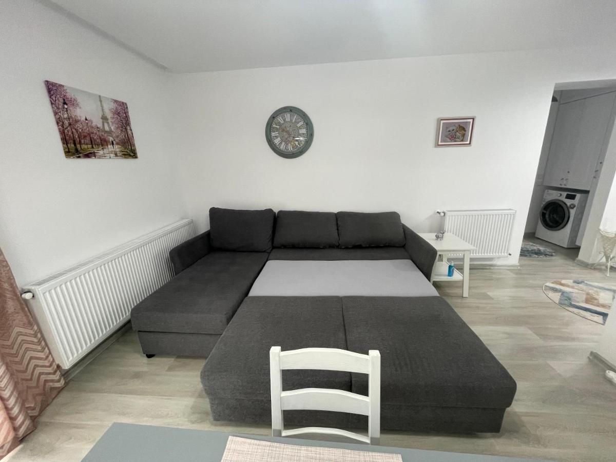 Castle Residence Apt. Eminescu Buşteni Екстериор снимка
